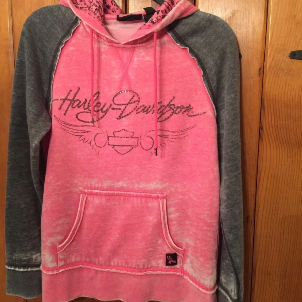 IN SEARCH OF THIS HOODIE!